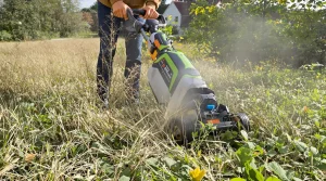 Cette tonte que beaucoup oublient avant le redoux et qui sublime vraiment la pelouse au printemps