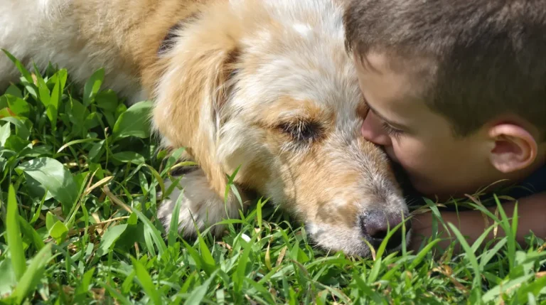 Chiens et chats propagent ces vers plats envahissants de jardin en jardin