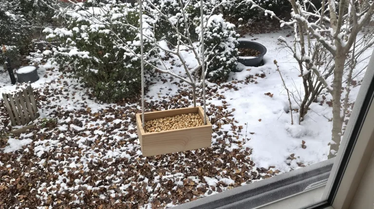 Graines et aliments à mettre dans votre jardin pour attirer plus d’oiseaux en hiver