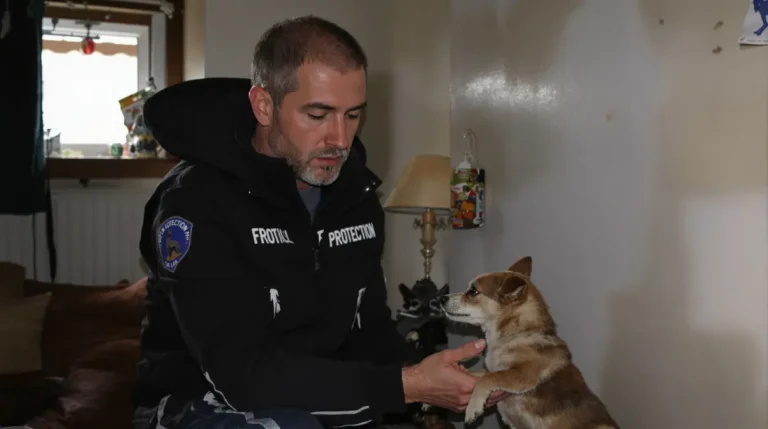 « Je n’ai jamais vu ça, c’est immonde » : des dizaines de chiens abandonnés et livrés à eux-mêmes en Haute-Loire