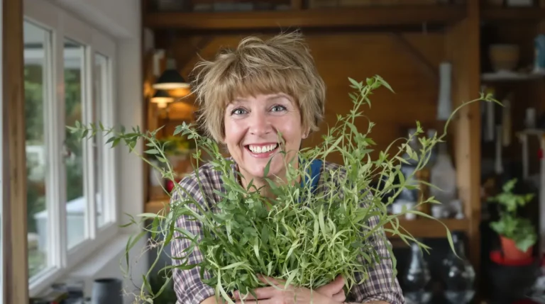 « Je ne désherbe plus jamais mes graviers » : la méthode de paysagiste, simple et redoutablement efficace, que tout le monde doit connaître