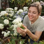 Pour remplacer un hortensia trop gourmand en eau, les jardiniers choisissent cet arbuste parfumé