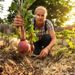 Ces légumes survivent vraiment à la sécheresse au jardin : la vérité sur ceux qui tiennent l’été